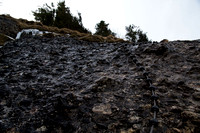 _DSC5947