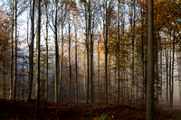 _DSC5563