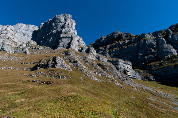 _DSC4901