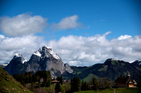 _DSC0378