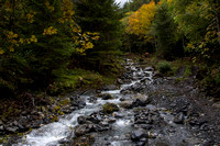 _DSC4719