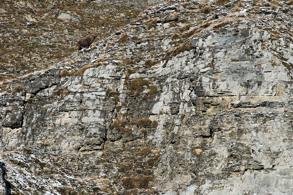 _NWK8294