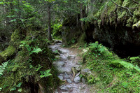 _NWK4845