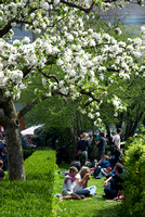 2013_01_mai_DSC_9609