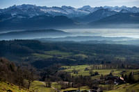 _DSC3698