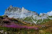 _DSC7667