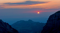 altmann_NWK4715