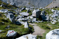 _DSC7691