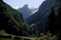_DSC7664