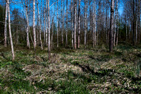 _DSC0013