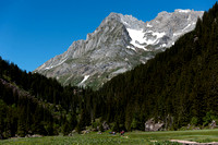 _NWK3978