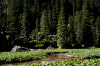 _NWK3997