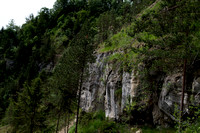 _DSC0726