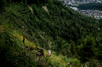 _DSC0728