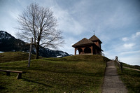 _DSC5919
