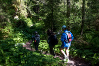 _NWK3967