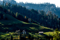 _DSC5637